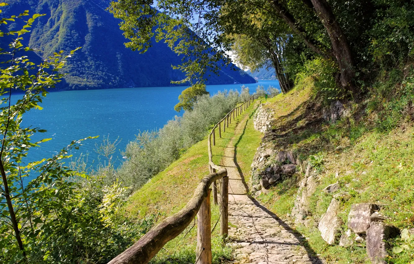 Фото обои дорога, деревья, горы, озеро, Швейцария, Лугано