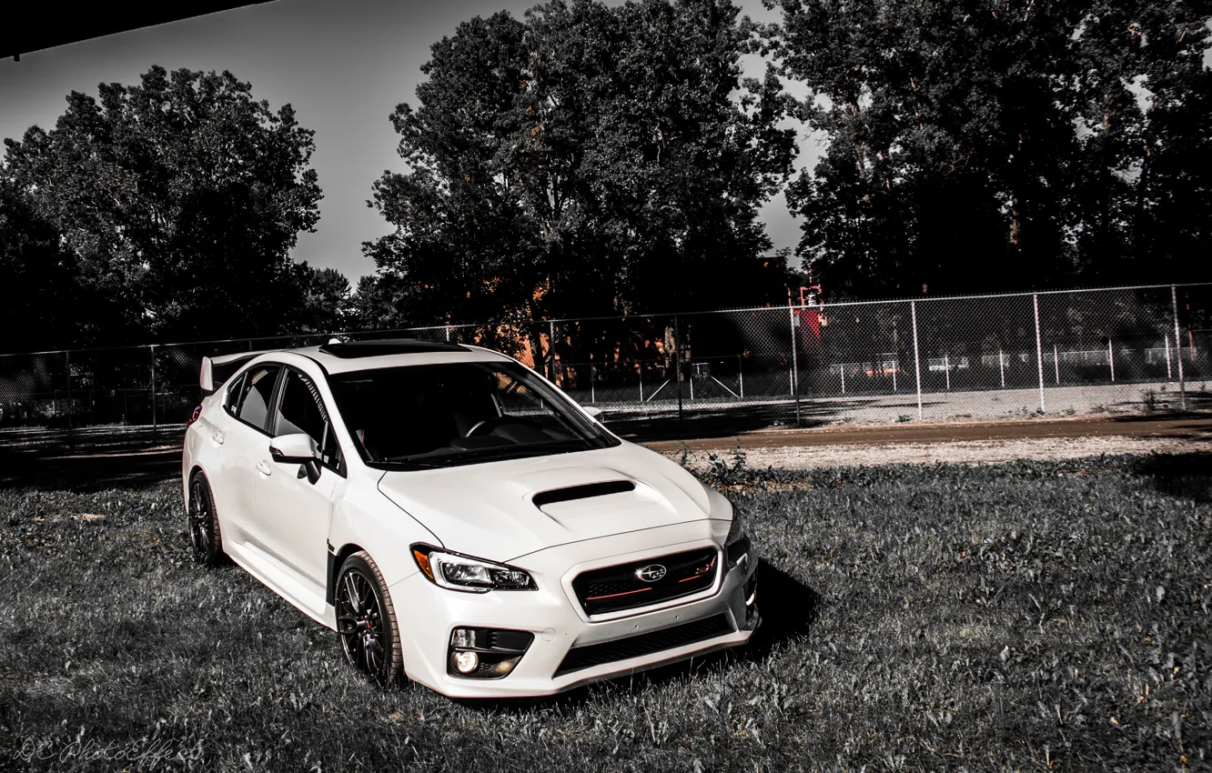 Фото обои белый, Subaru, white, субару, sti, сти, wrx sti, 2015