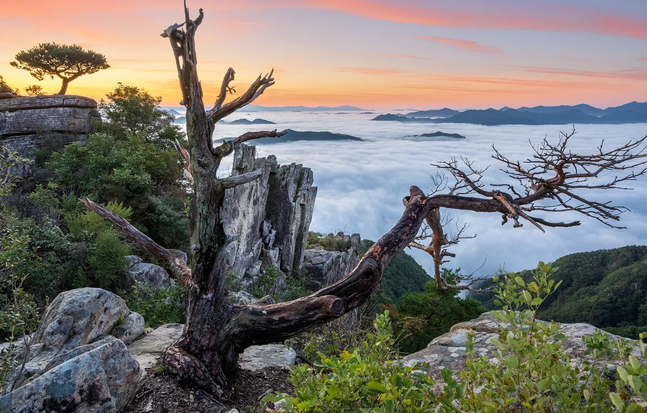 Фото обои закат, горы, природа