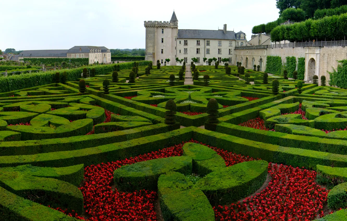 Фото обои Франция, растения, весна, сад, France, garden, spring, Замок Вилландри