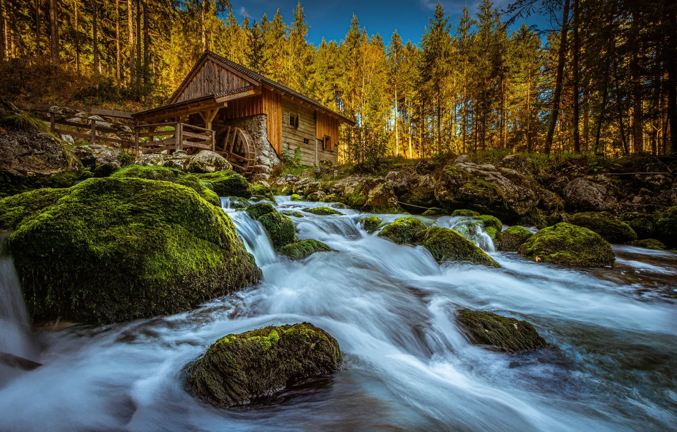 Фото обои осень, деревья, река, камни, мох, Австрия, водяная мельница
