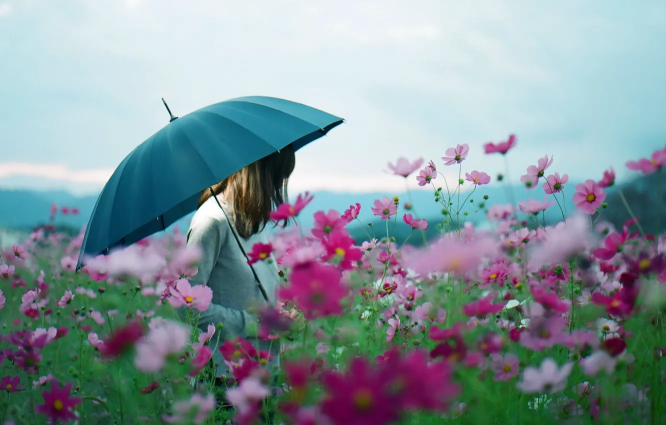Фото обои девушка, цветы, зонт