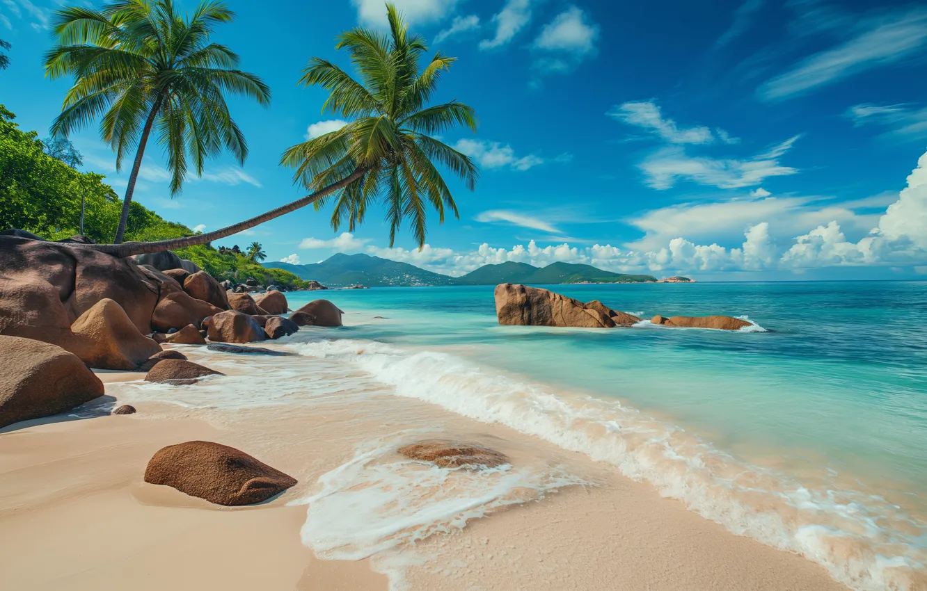 Фото обои beach, rocks, sand, palm trees