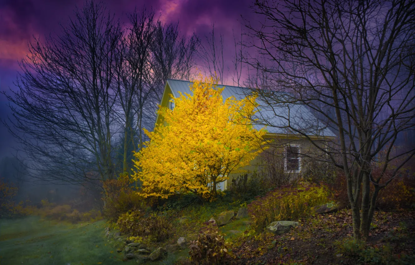 Фото обои гроза, осень, деревья, пейзаж, природа, дом, США, кусты