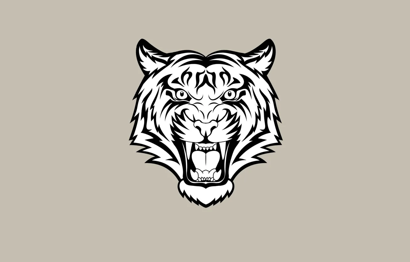 Фото обои морда, тигр, минимализм, светлый фон, tiger