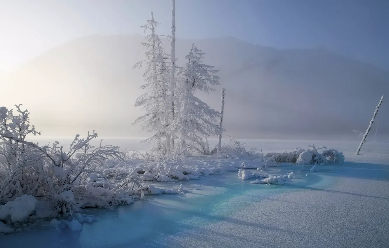 Фото обои зима, снег, пейзаж, природа, туман, Якутия, Владимир Рябков