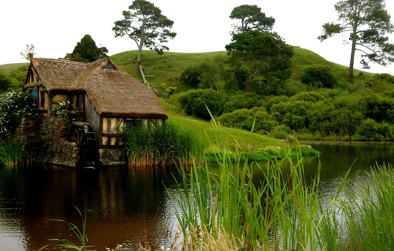 Фото обои трава, вода, цветы, дом, пруд, холмы, мельница