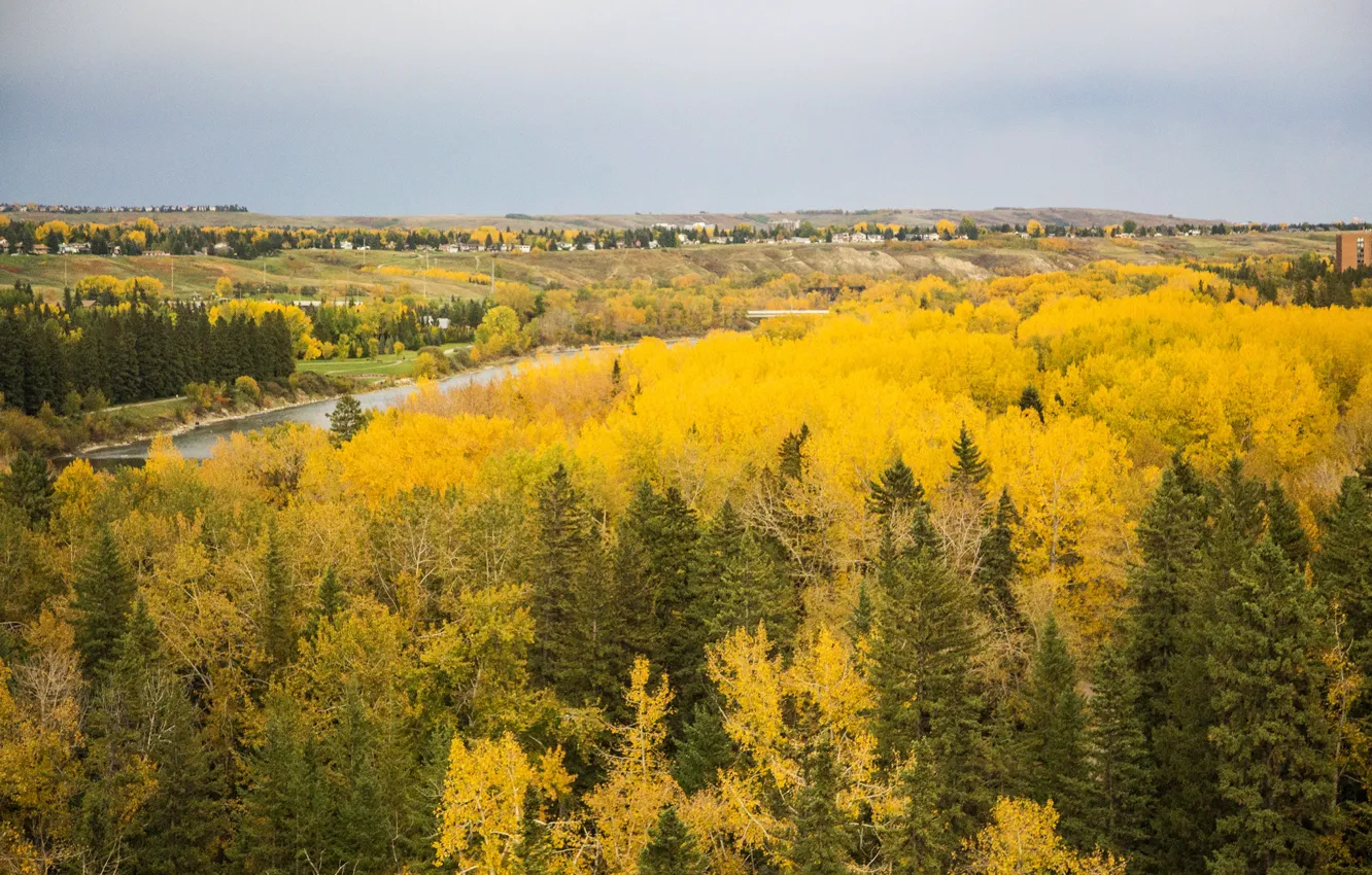 Фото обои осень, лес, деревья, река, поля, желтые, Канада, домики