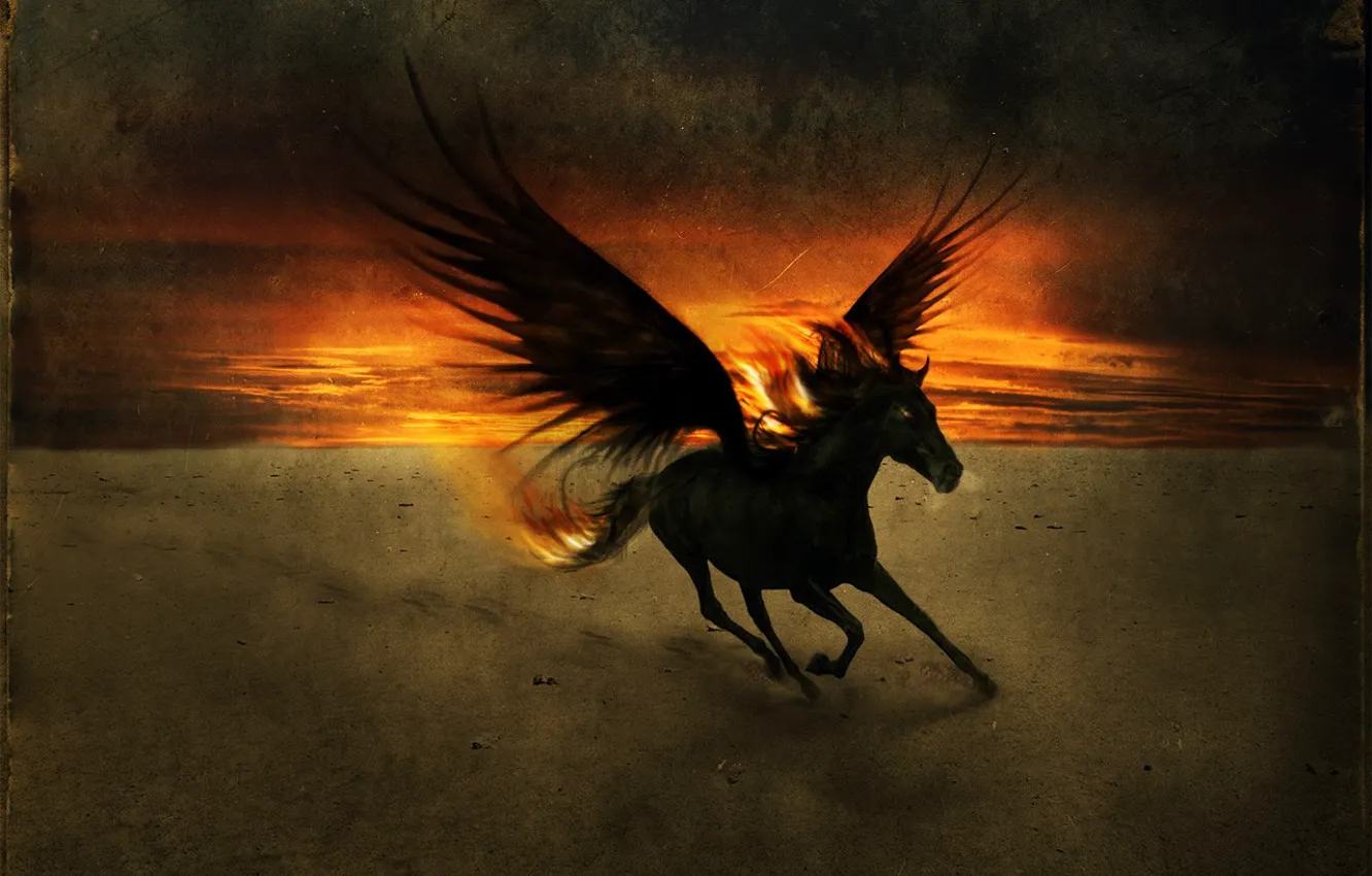 Фото обои закат, крылья, Конь