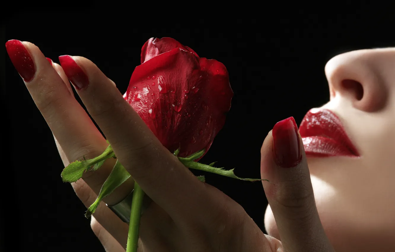 Фото обои роза, рука, губы, ногти