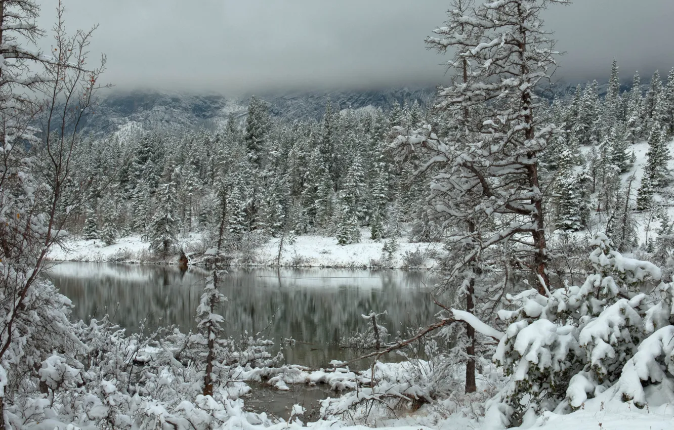 Фото обои зима, лес, облака, снег, горы, озеро
