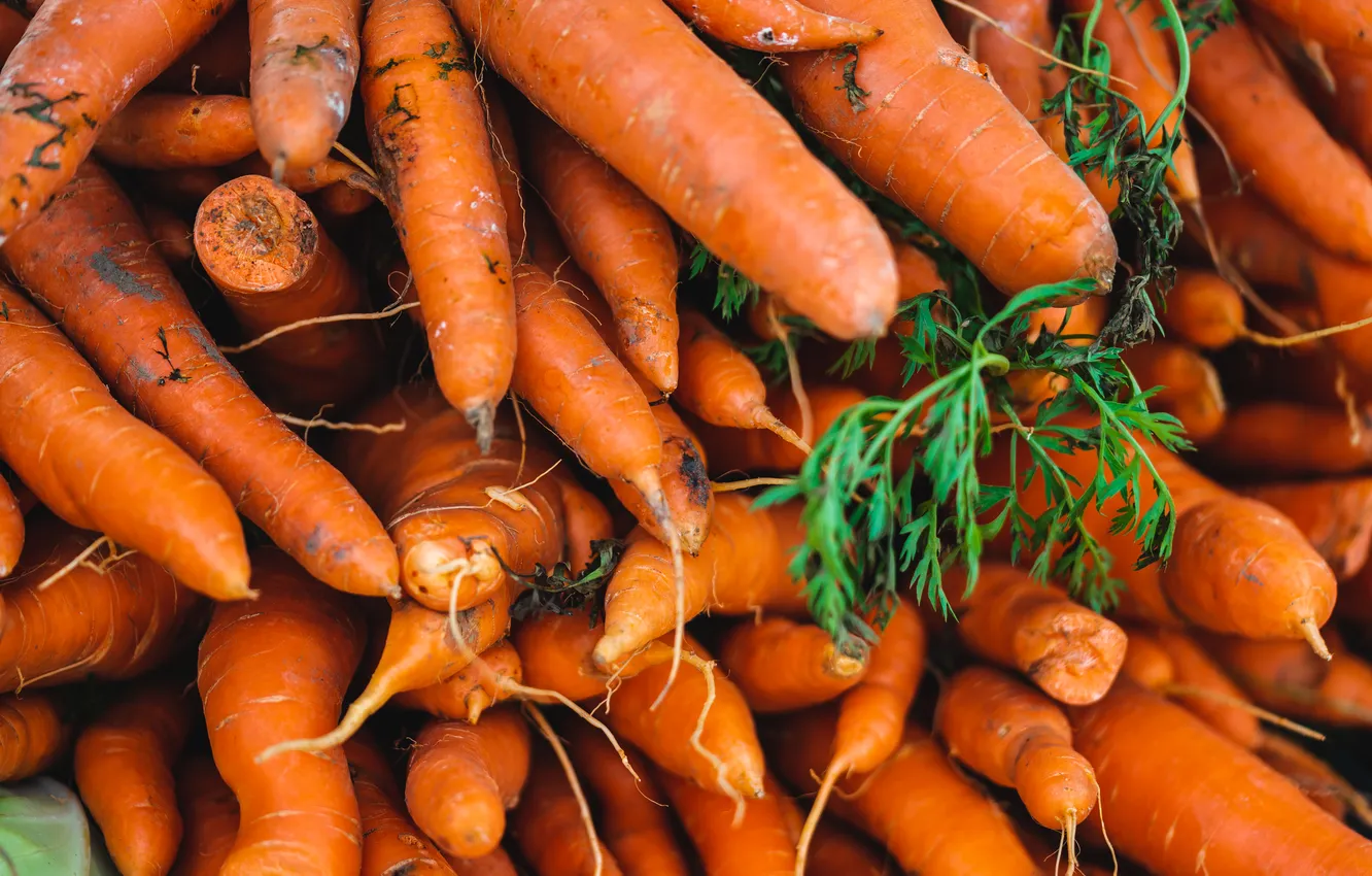 Фото обои pattern, vegetables, carrots
