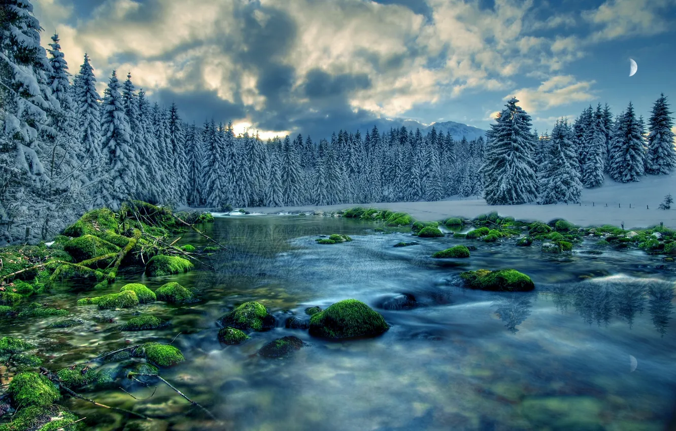 Фото обои лес, небо, облака, снег, деревья, река, камни, луна