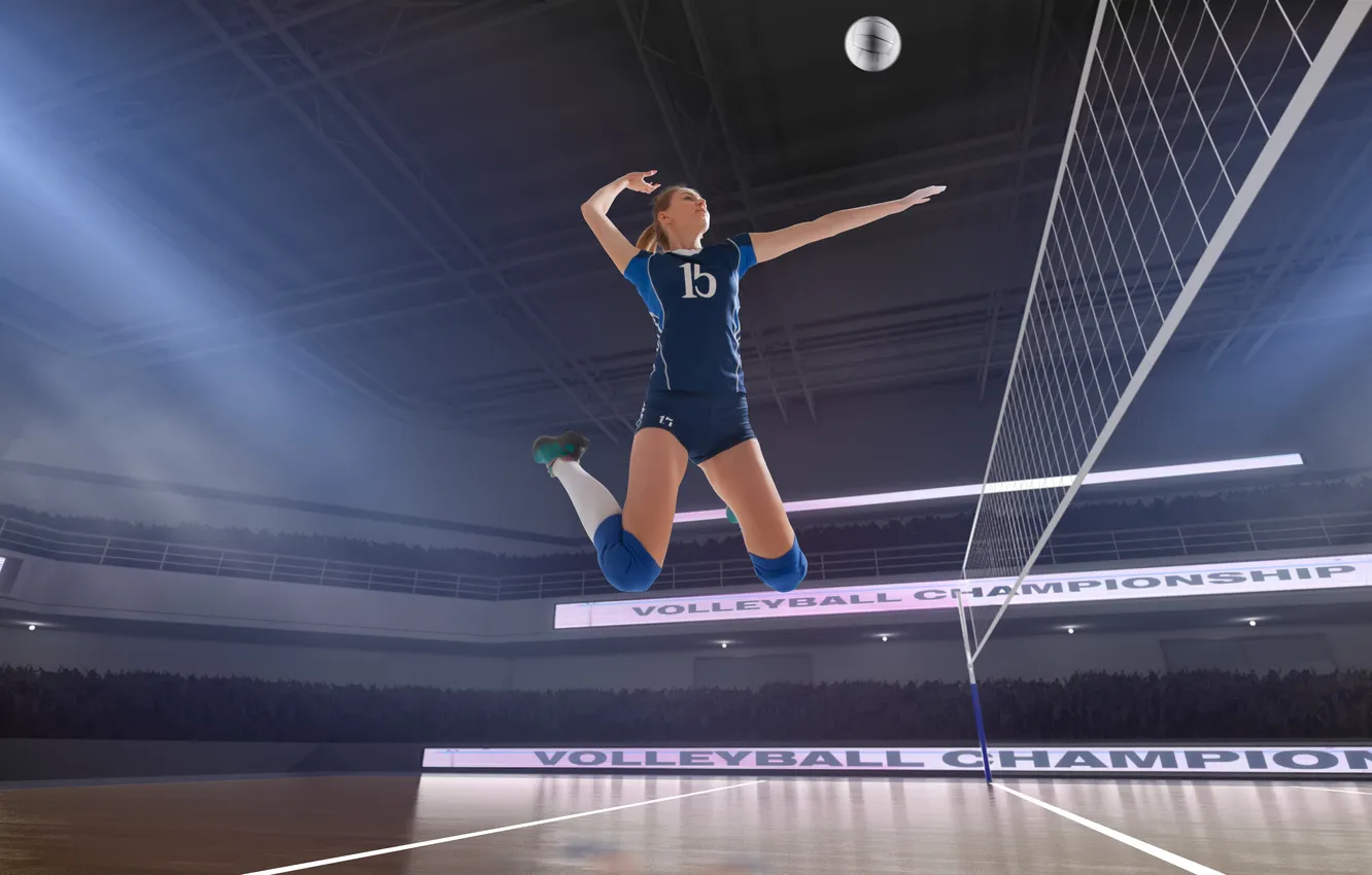Фото обои wood, winner, volleyball player, volleyball team, volleyball court
