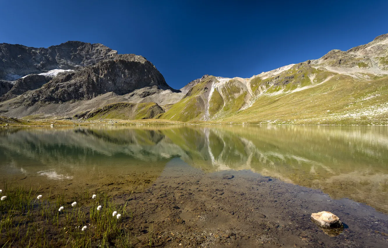 Фото обои вода, цветы, горы, озеро, гладь, отражение, камни, холмы