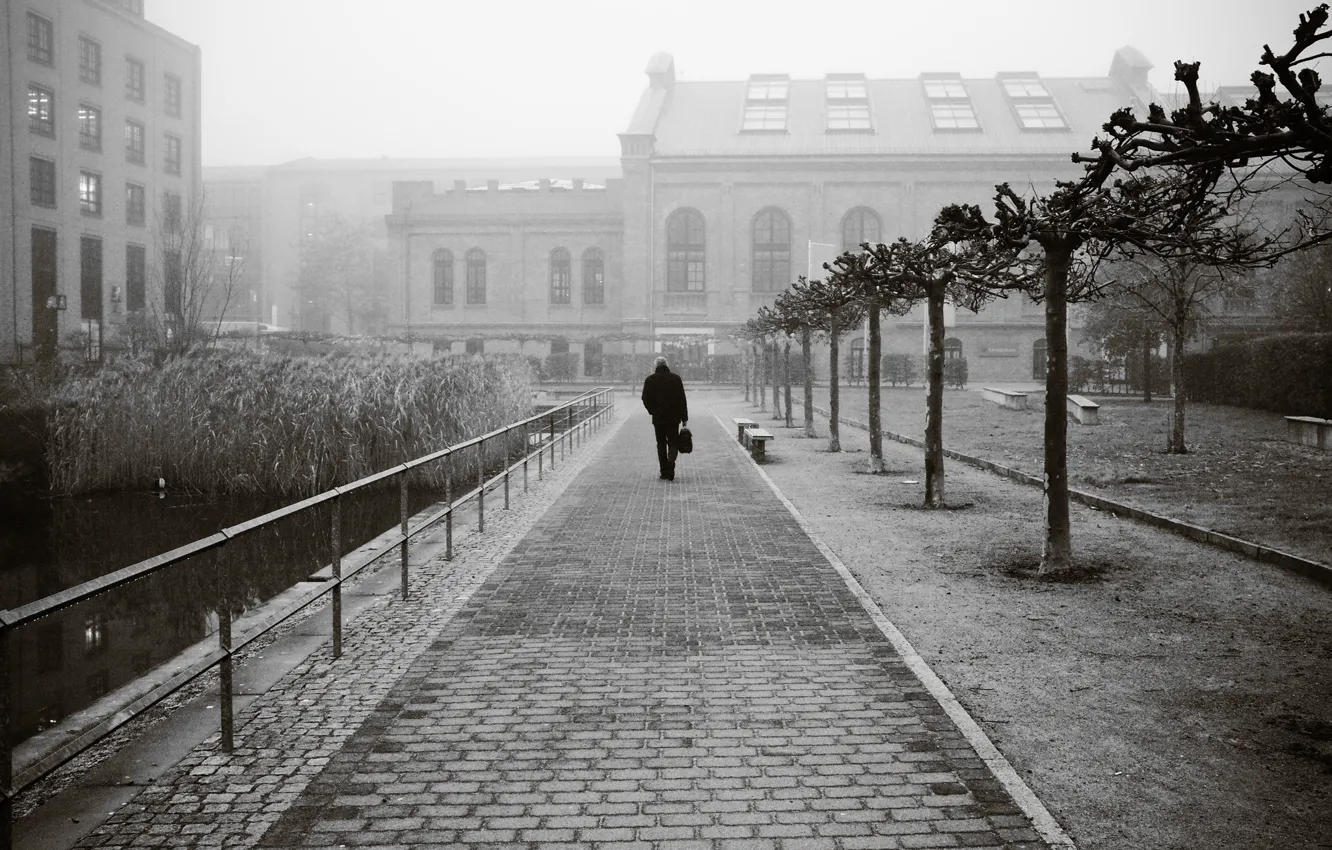 Фото обои city, fog, elderly