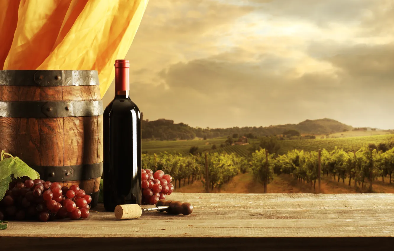 Фото обои вино, красное, бутылка, виноград, виноградник, занавеска, штопор, бочонок