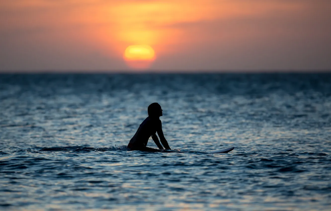 Фото обои море, девушка, закат, горизонт, серфинг, girl, sea, sunset