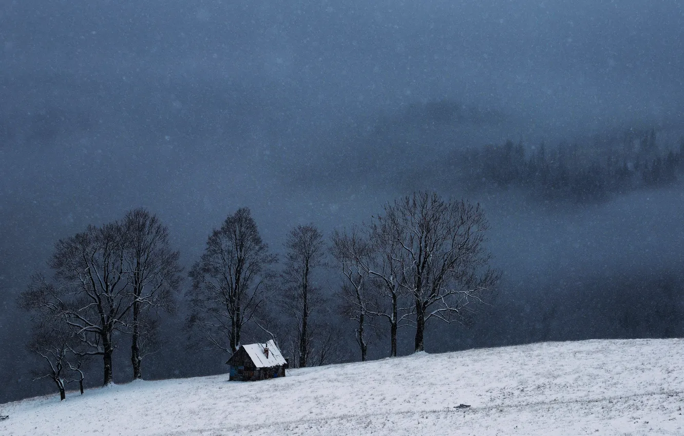 Фото обои зима, снег, деревья, природа, домик