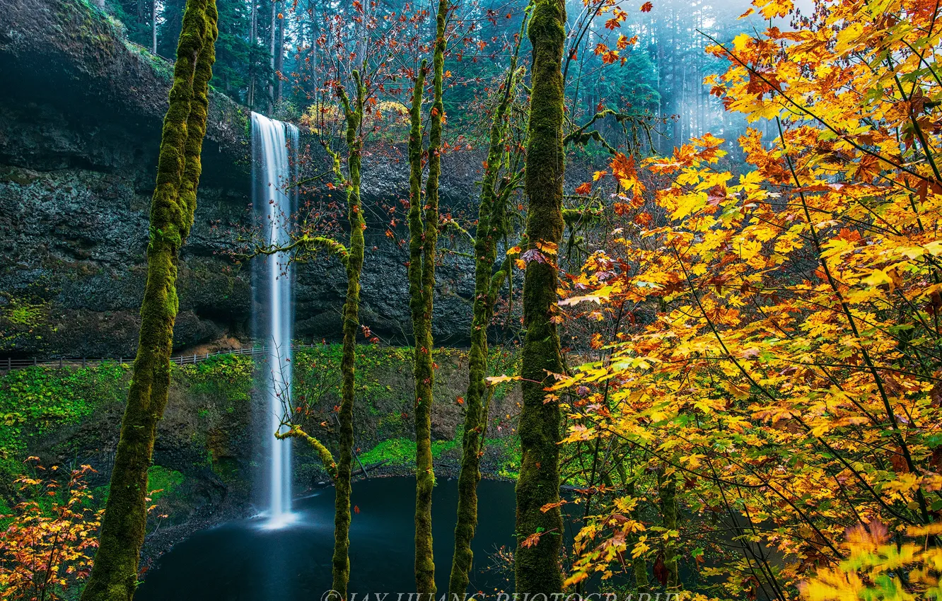 Фото обои осень, лес, озеро, водопад