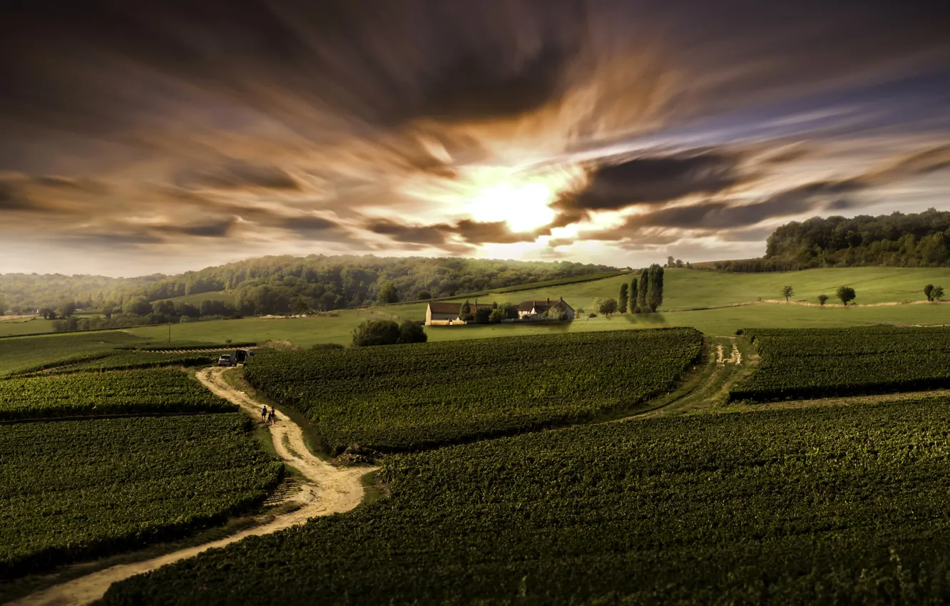 Фото обои дорога, небо, деревья, Франция, поля, зарево, домики, плантации