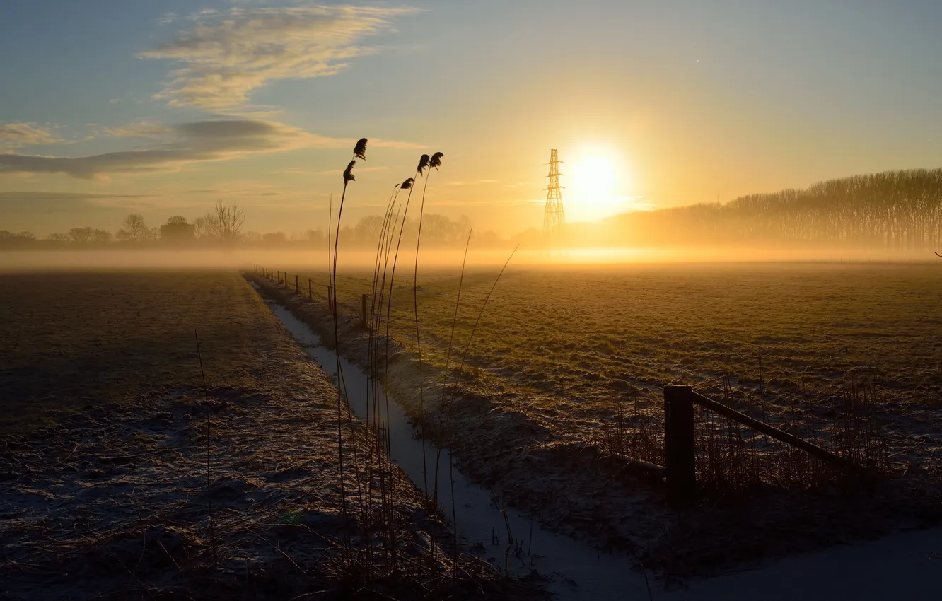 Фото обои поле, закат, Netherlands, Gelderland, Wageningen