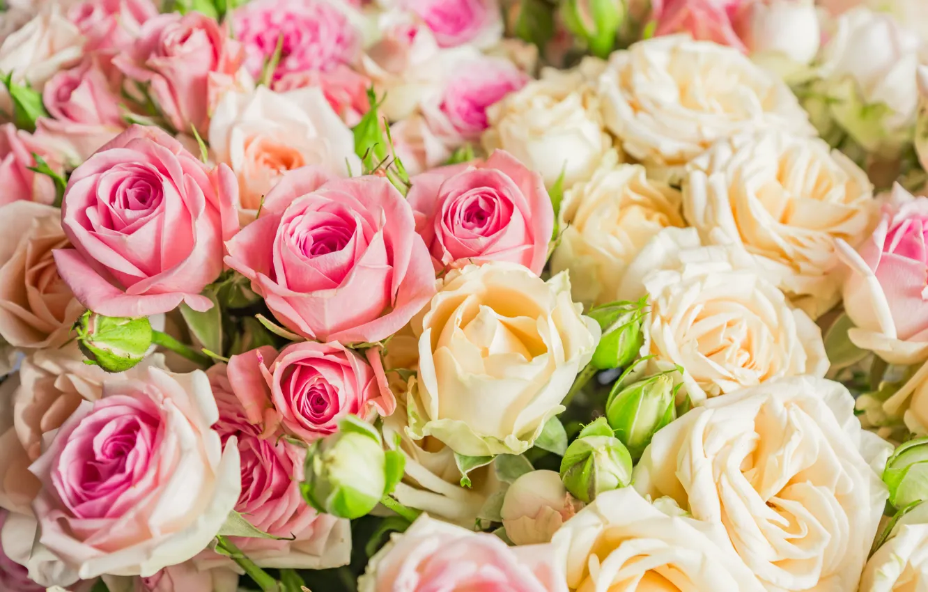 Фото обои цветы, букет, розочки, белых, розовых, Yarovoy Aleksandr