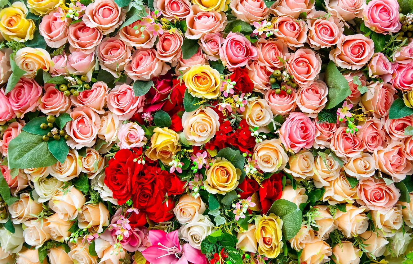 Фото обои цветы, розы, ковёр