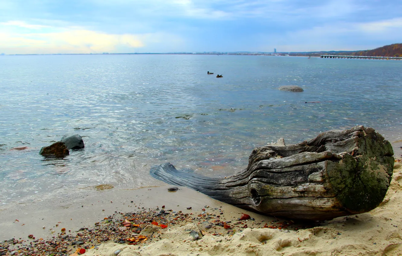 Фото обои waves, beach, sea, ocean