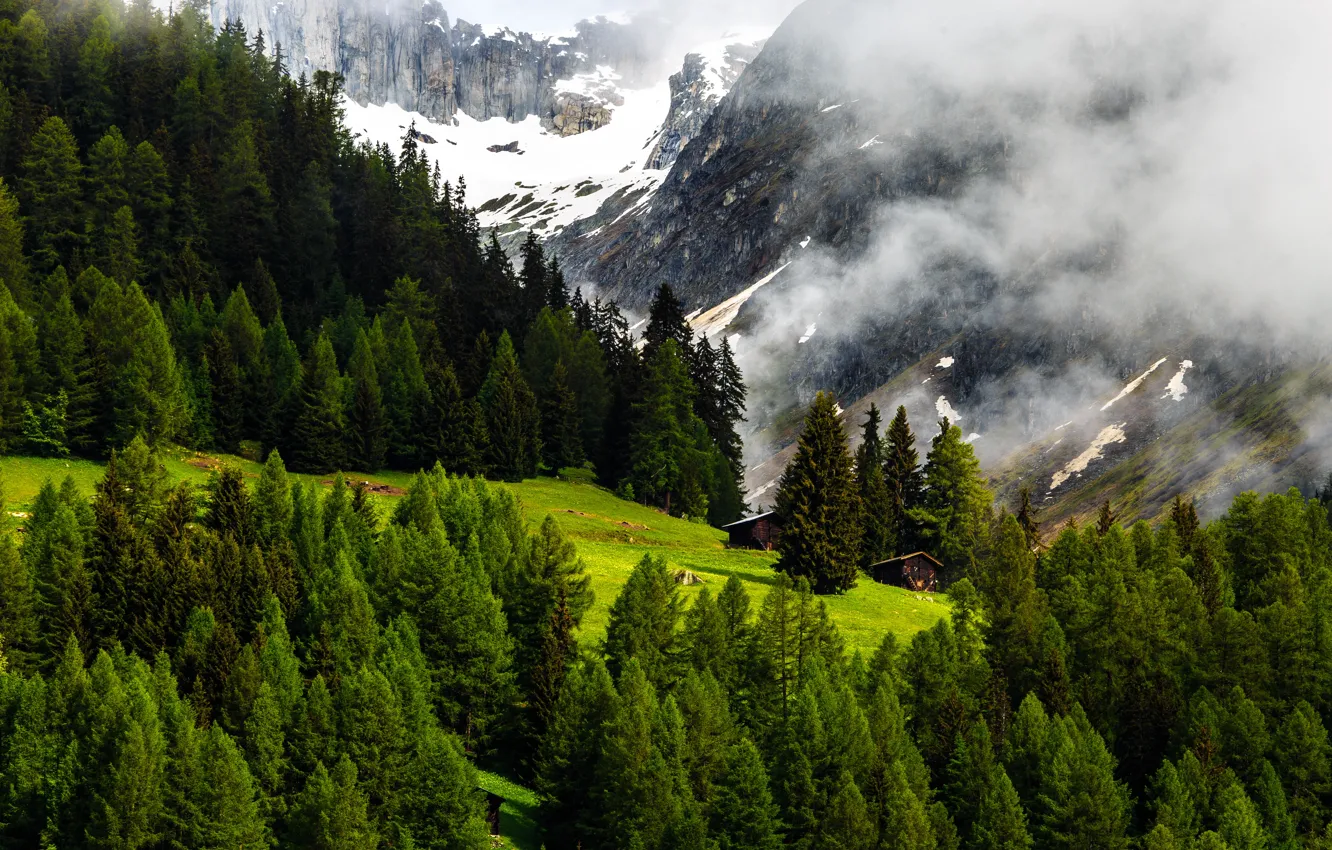 Фото обои Природа, Горы, Швейцария, Лес, Альпы