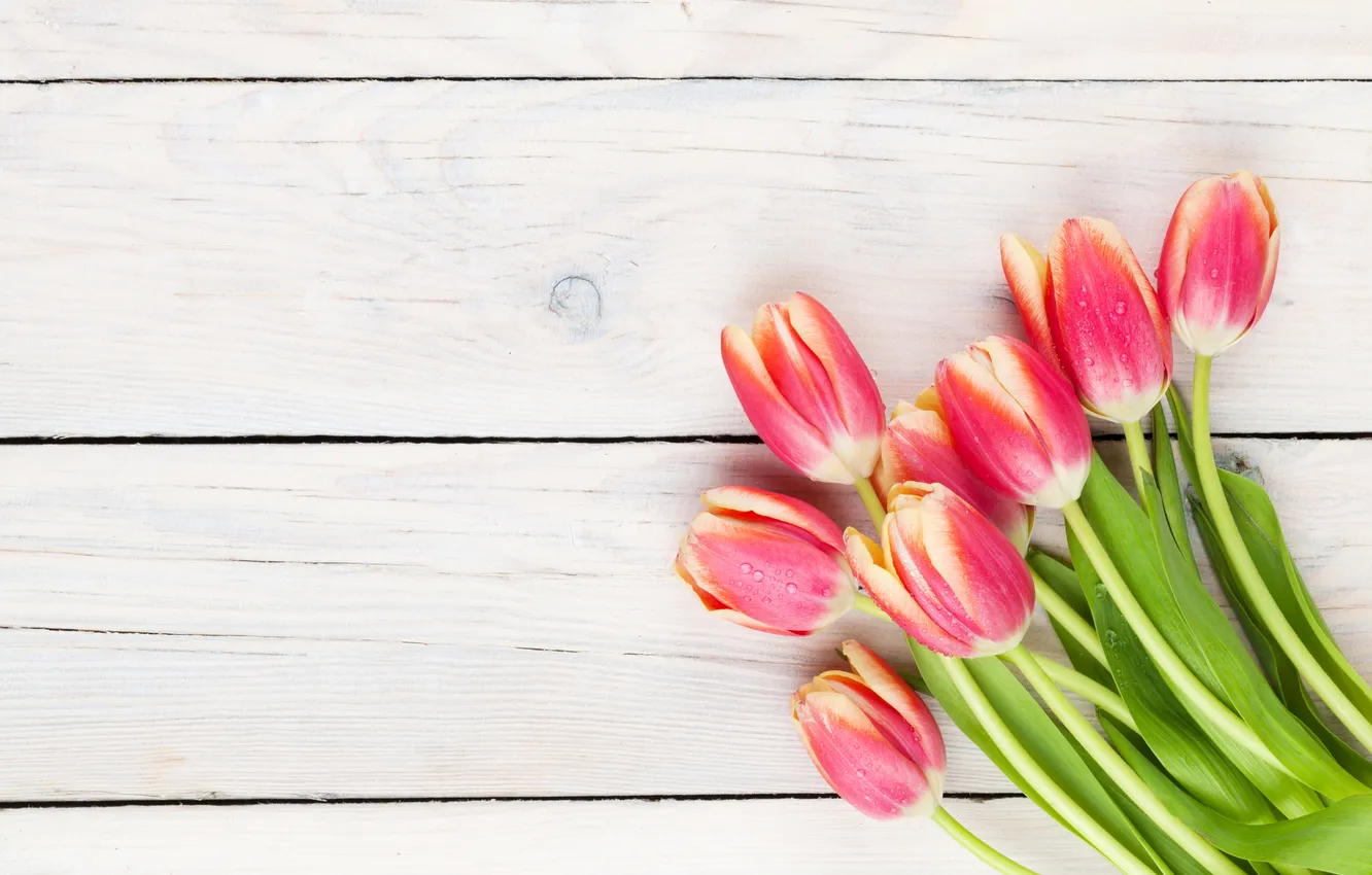 Фото обои цветы, букет, тюльпаны, красные, red, wood, flowers, tulips