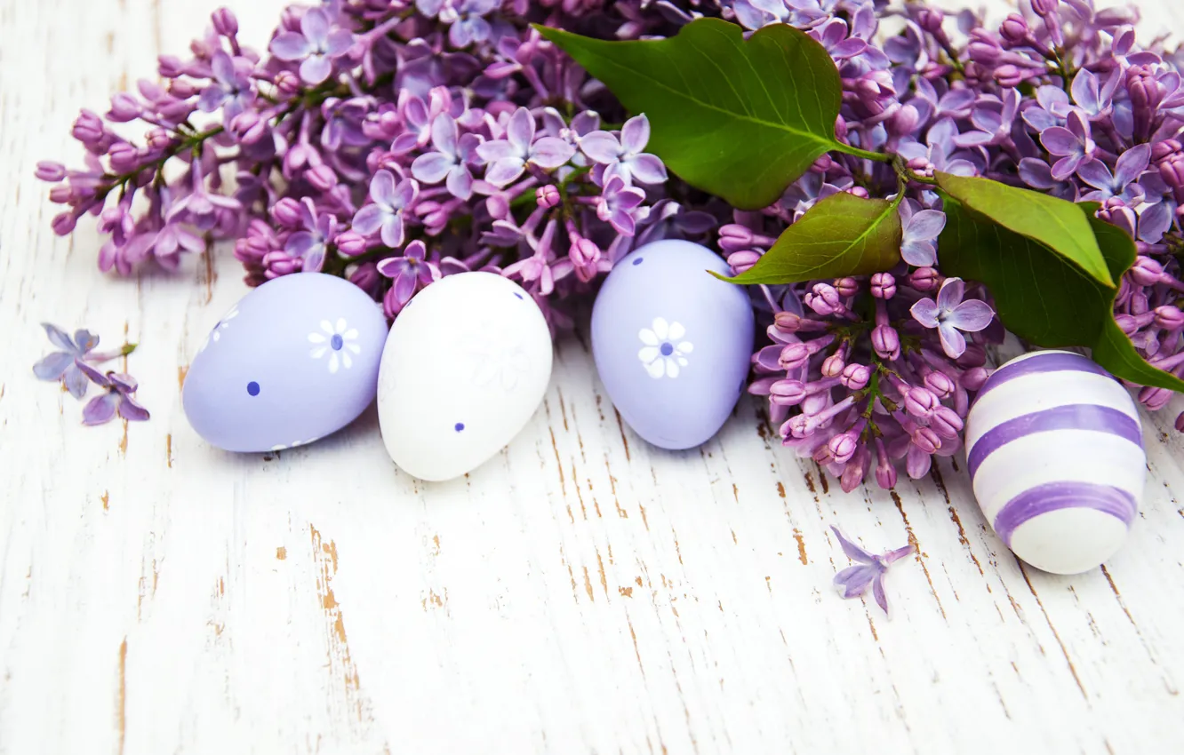 Фото обои ветки, яйца, весна, Пасха, сирень, композиция, Olena Rudo