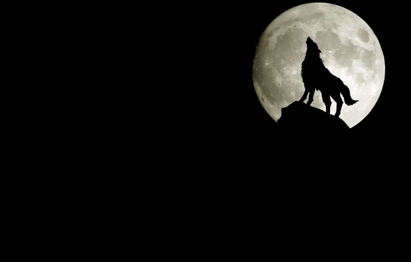 Фото обои скала, луна, волк, силуэт, воет