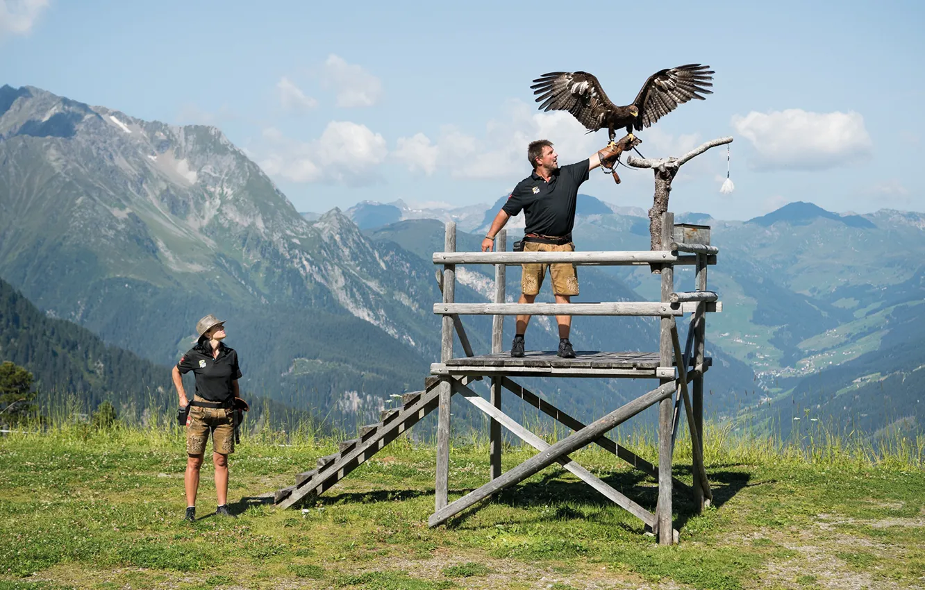 Фото обои woman, beautiful, man, eagle, Falconry