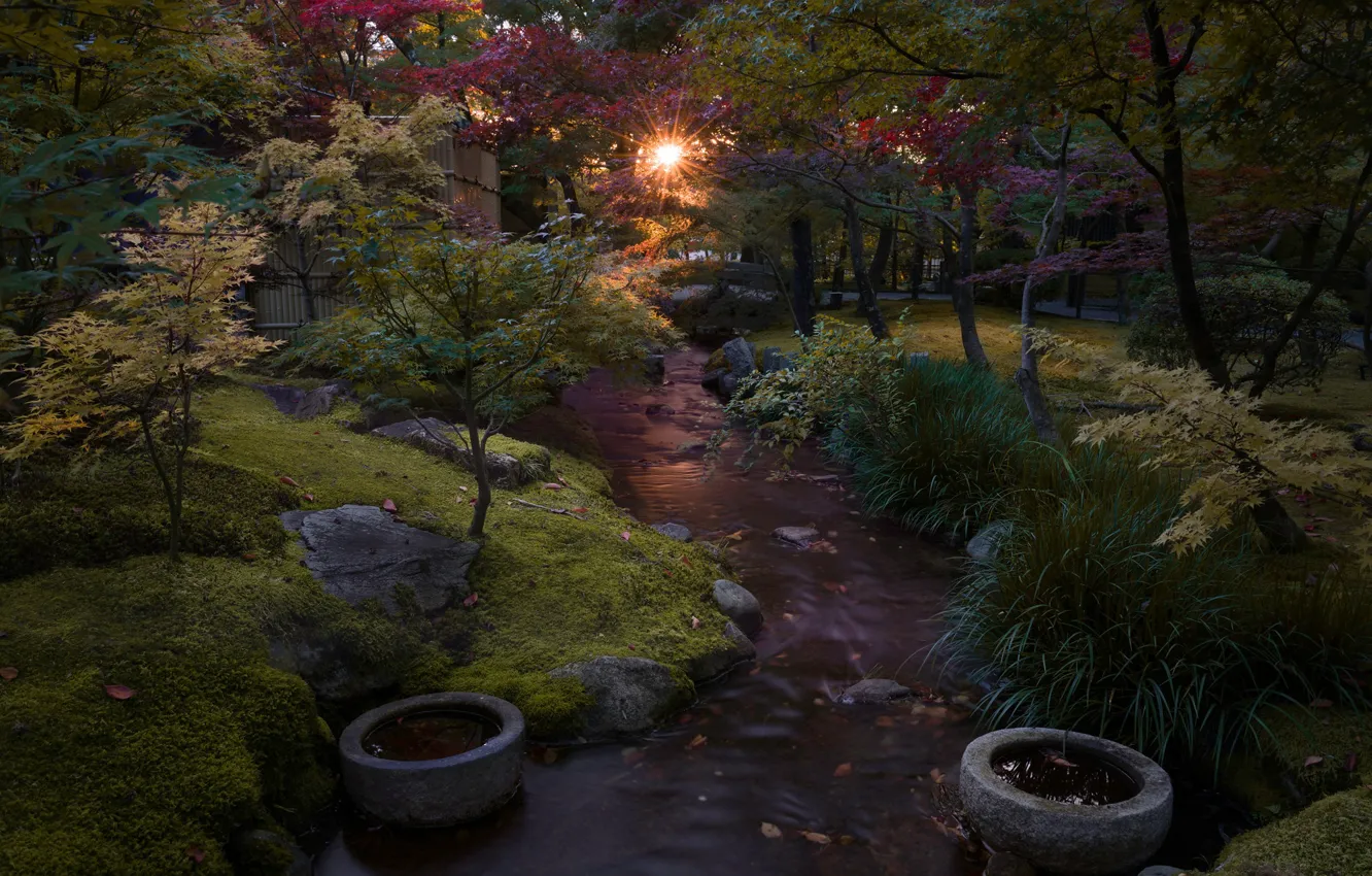 Фото обои парк, ручей, утро, Япония, Киото, Léonard Rodriguez