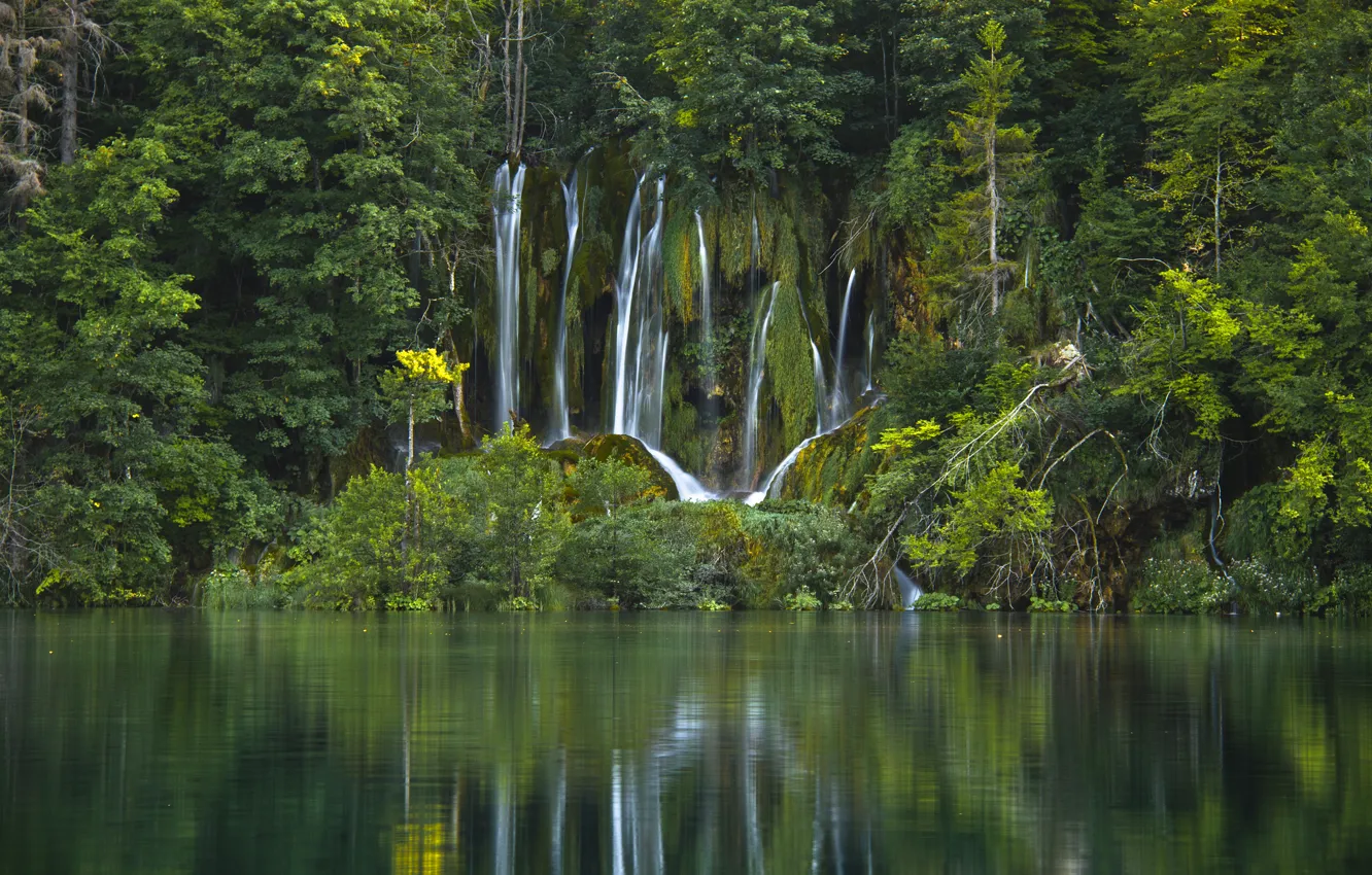 Фото обои лес, вода, деревья, озеро, водопад, Хорватия, Croatia, Plitvice Lakes National Park