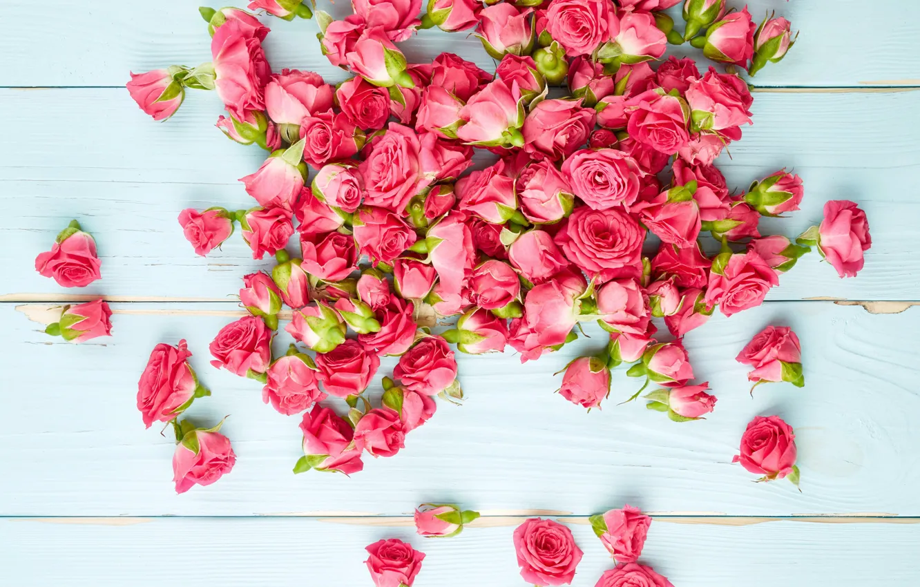 Фото обои доски, розы, Pink, Roses, background, color