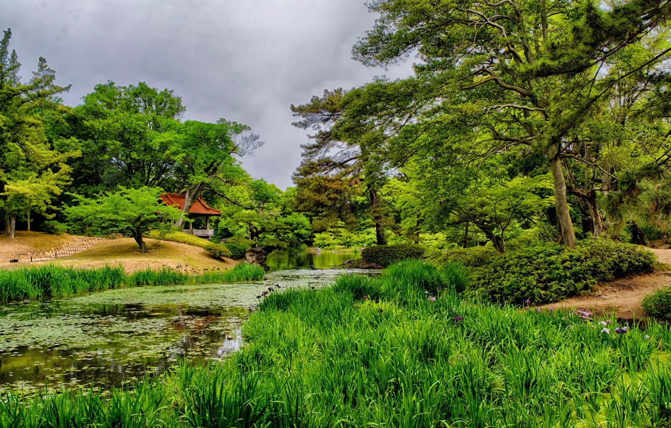 Фото обои зелень, трава, деревья, пруд, Япония, сад, беседка, Takamatsu