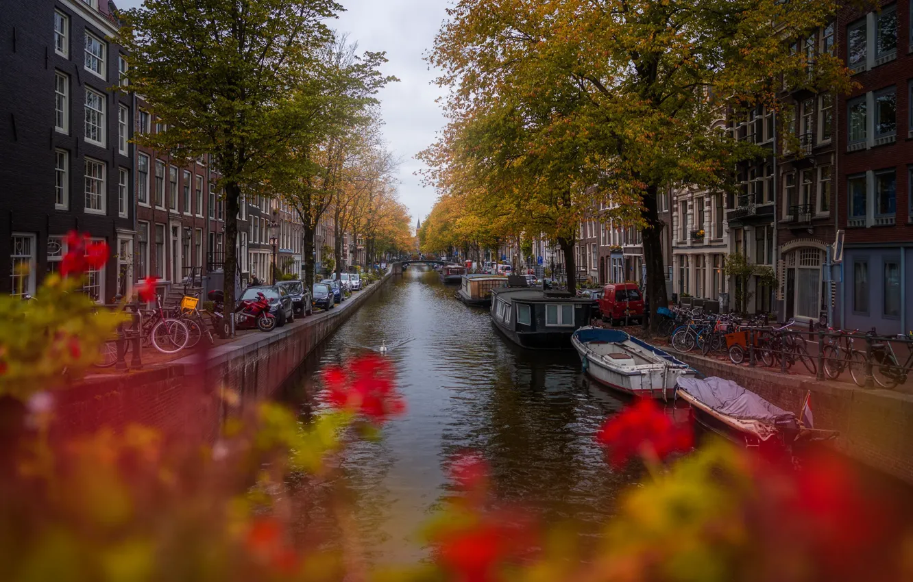 Фото обои цветы, птица, транспорт, канал, Amsterdam - My Home