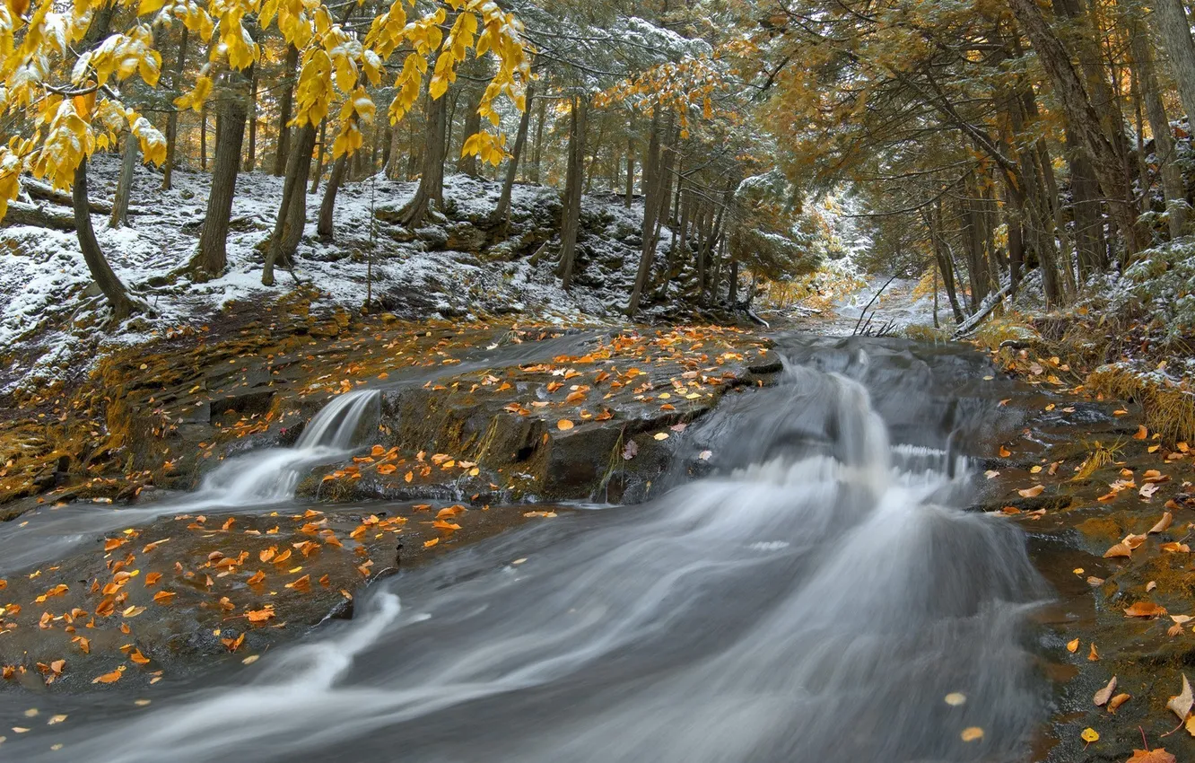 Фото обои лес, снег, река, Природа, поздняя осень
