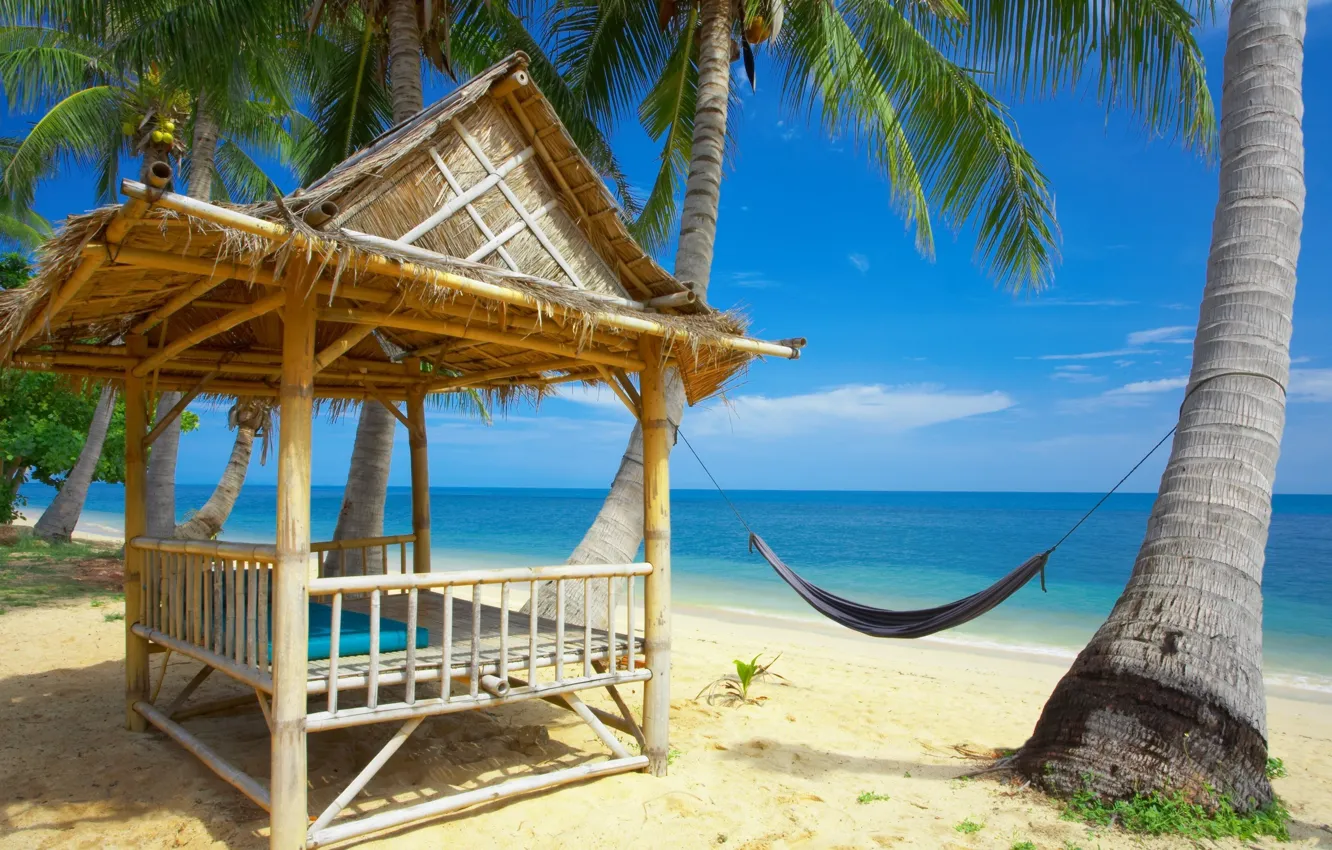 Фото обои пляж, небо, пальмы, Море, гамак, palm trees, hammock, the sky