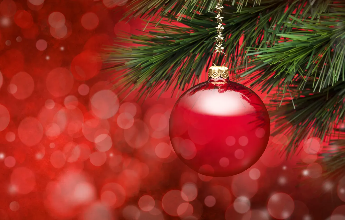 Фото обои иголки, красное, игрушка, ель, ветка, Новый Год, Рождество, ёлка