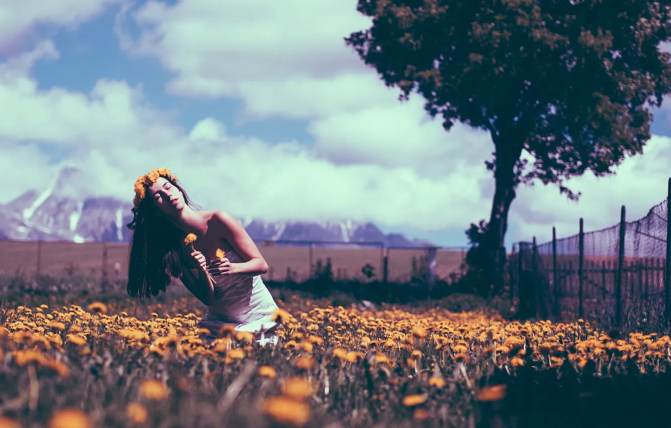 Фото обои лето, девушка, цветы, настроение