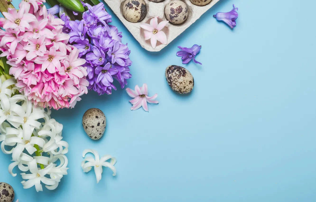 Фото обои цветы, яйца, весна, Пасха, happy, flowers, spring, Easter