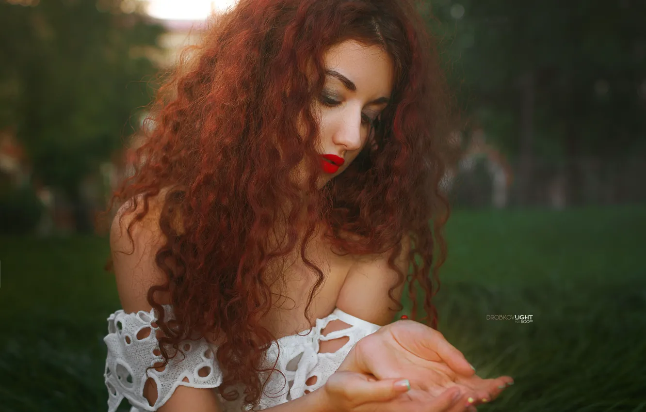 Фото обои взгляд, девушка, волосы, платье, рыжая, кудри, Анастасия, Alexander Drobkov-Light