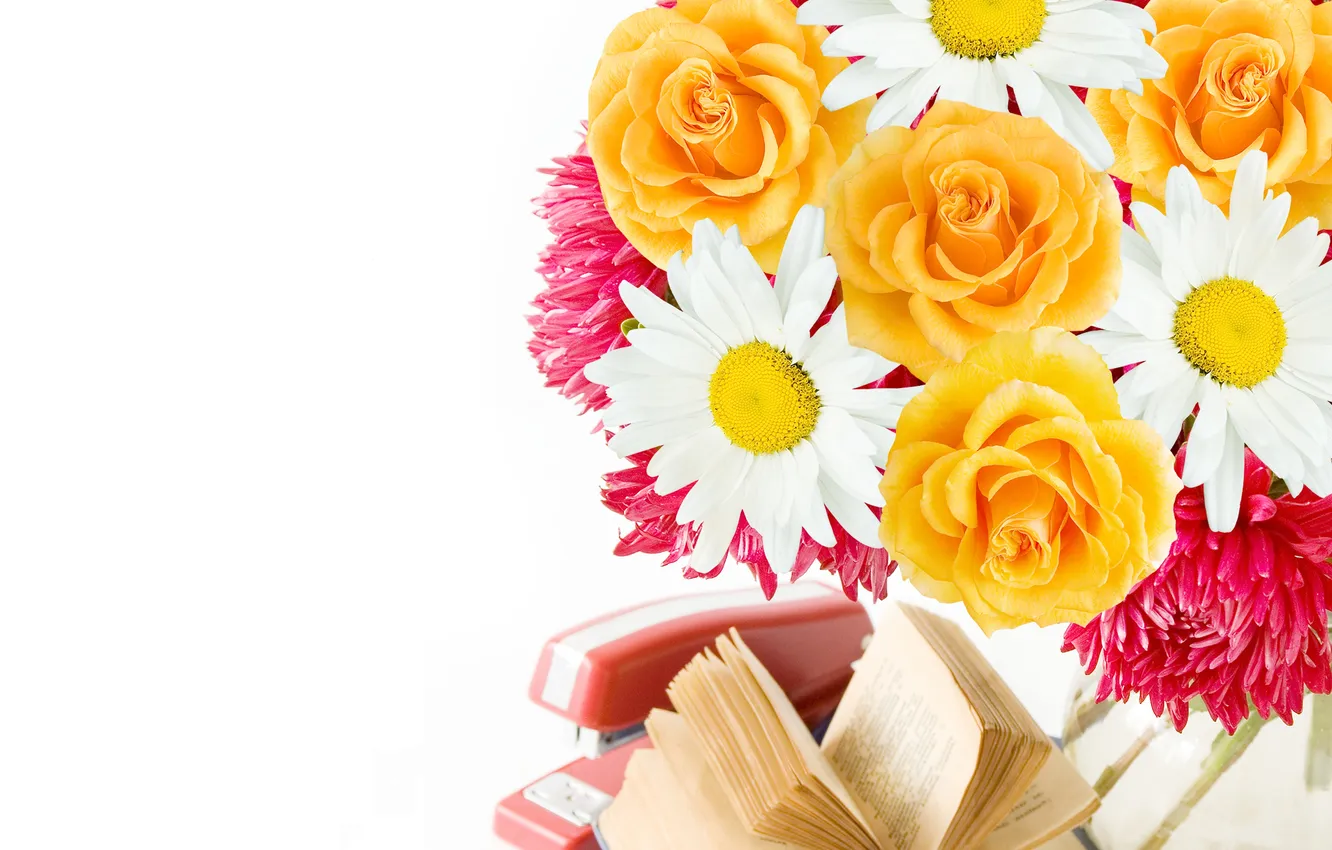 Фото обои цветы, розы, book, petals