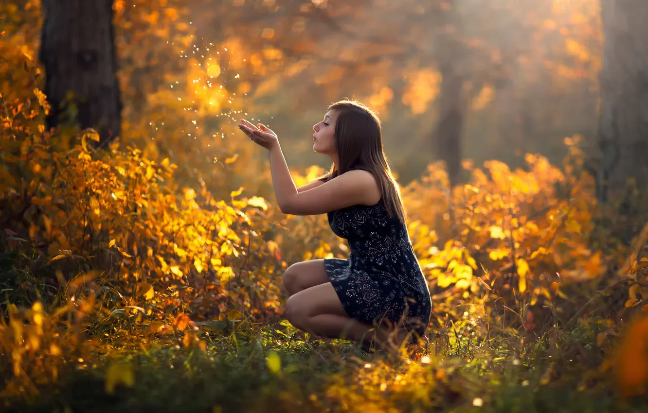 Фото обои осень, лес, девушка, природа, солнечный свет