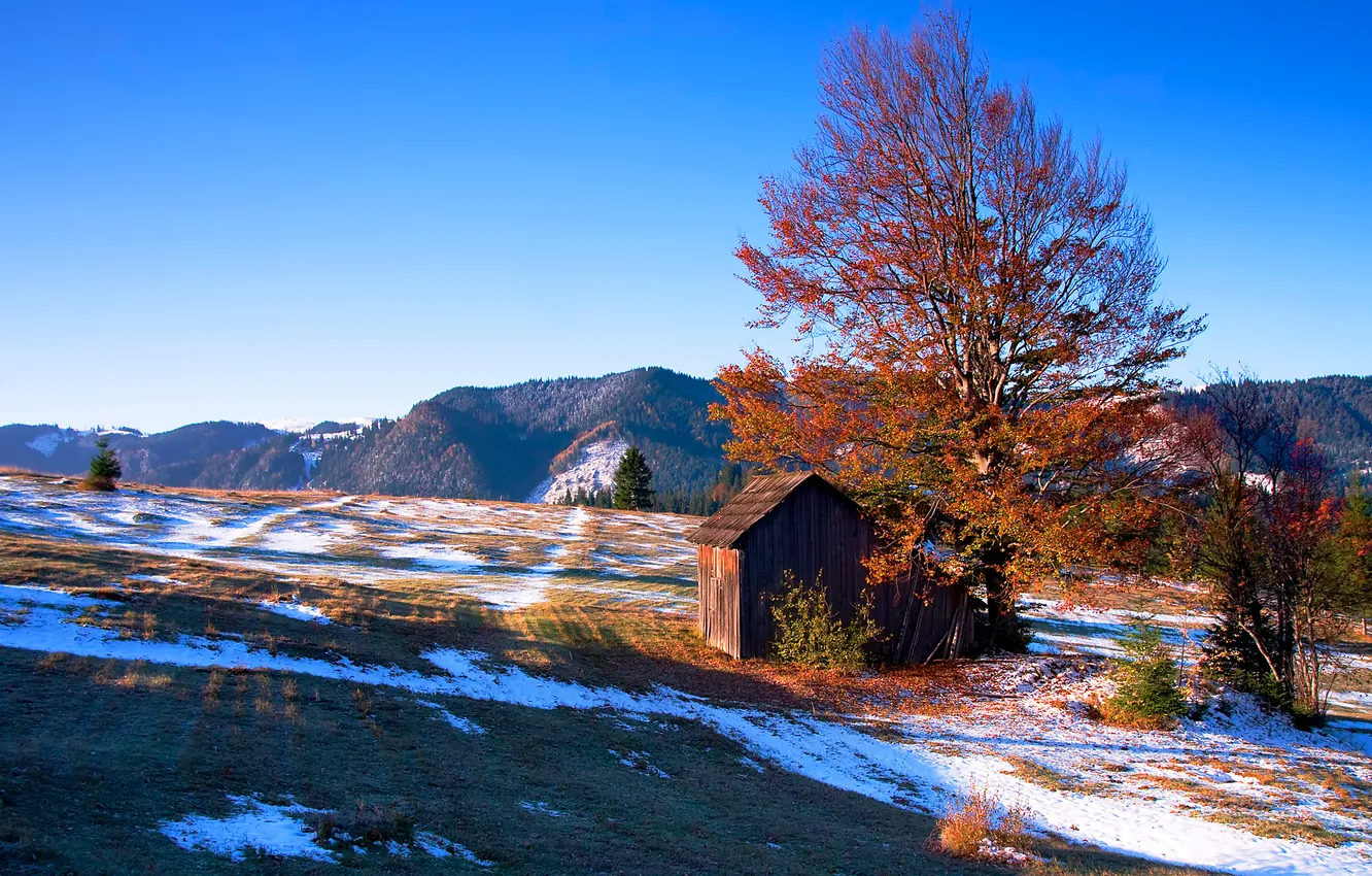 Фото обои поле, осень, небо, деревья, горы, долина, домик, румыния