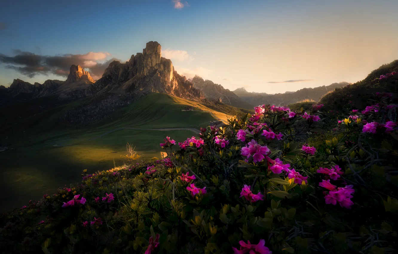 Фото обои небо, цветы, горы, долина, живописный пейзаж, Moravek Martin, Sunrise in the Dolomites