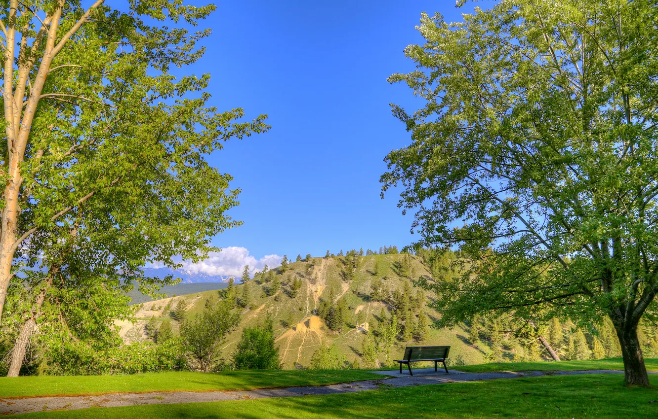 Фото обои трава, деревья, горы, природа, парк, дорожка, скамья